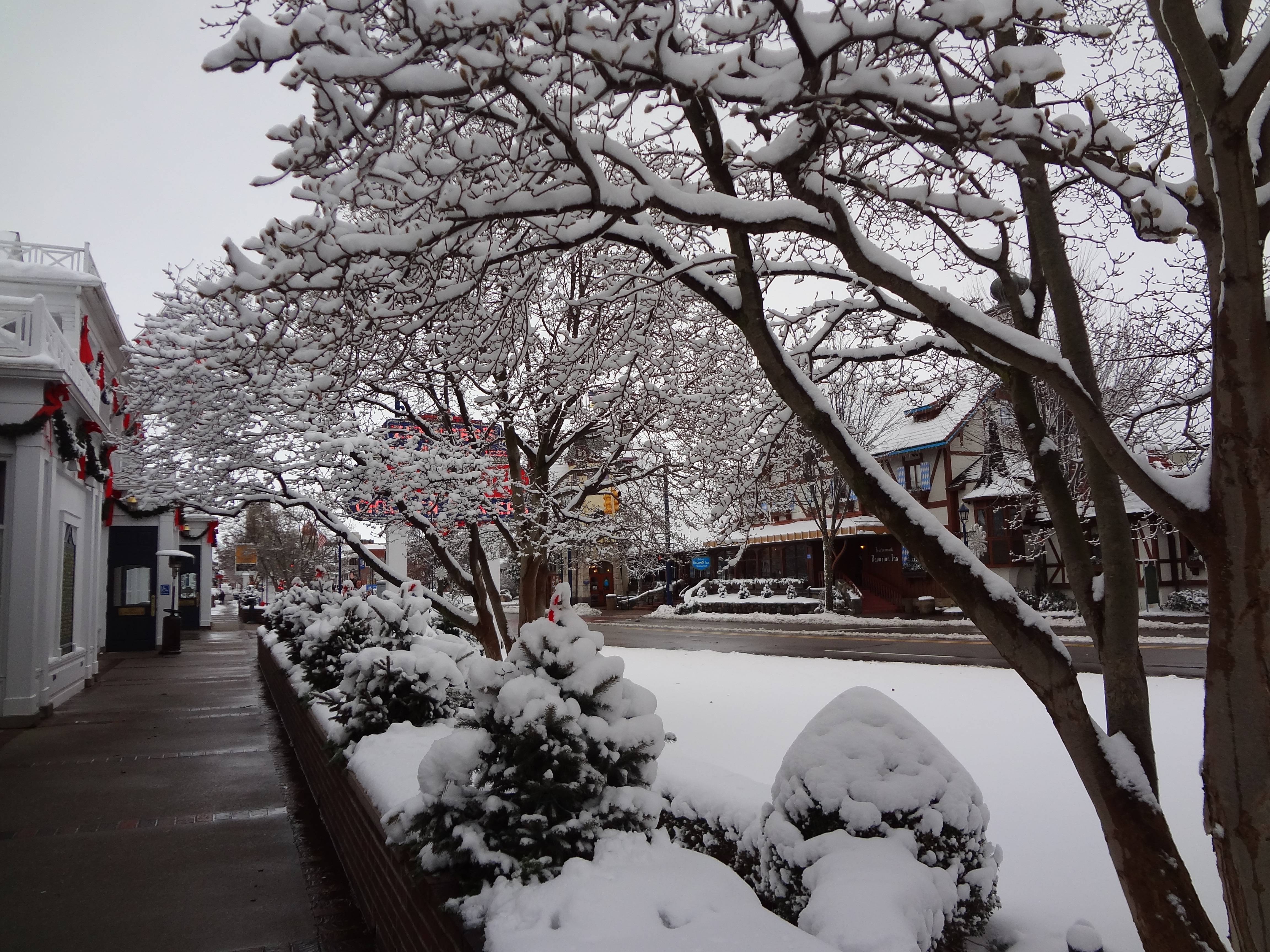 Frankenmuth with snow