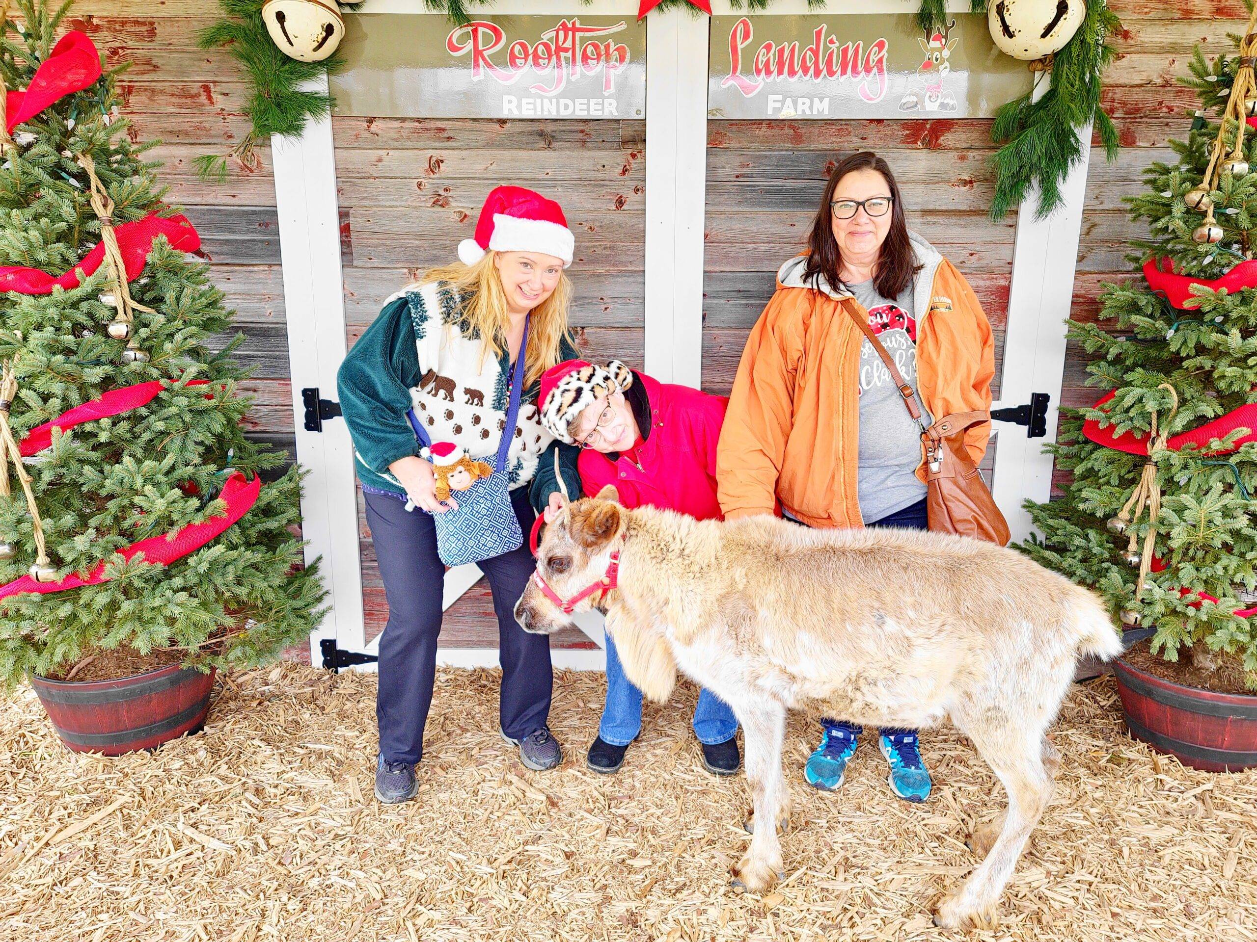 picture of Ralphie the reindeer with Jean, Tricia, Julie and Monte